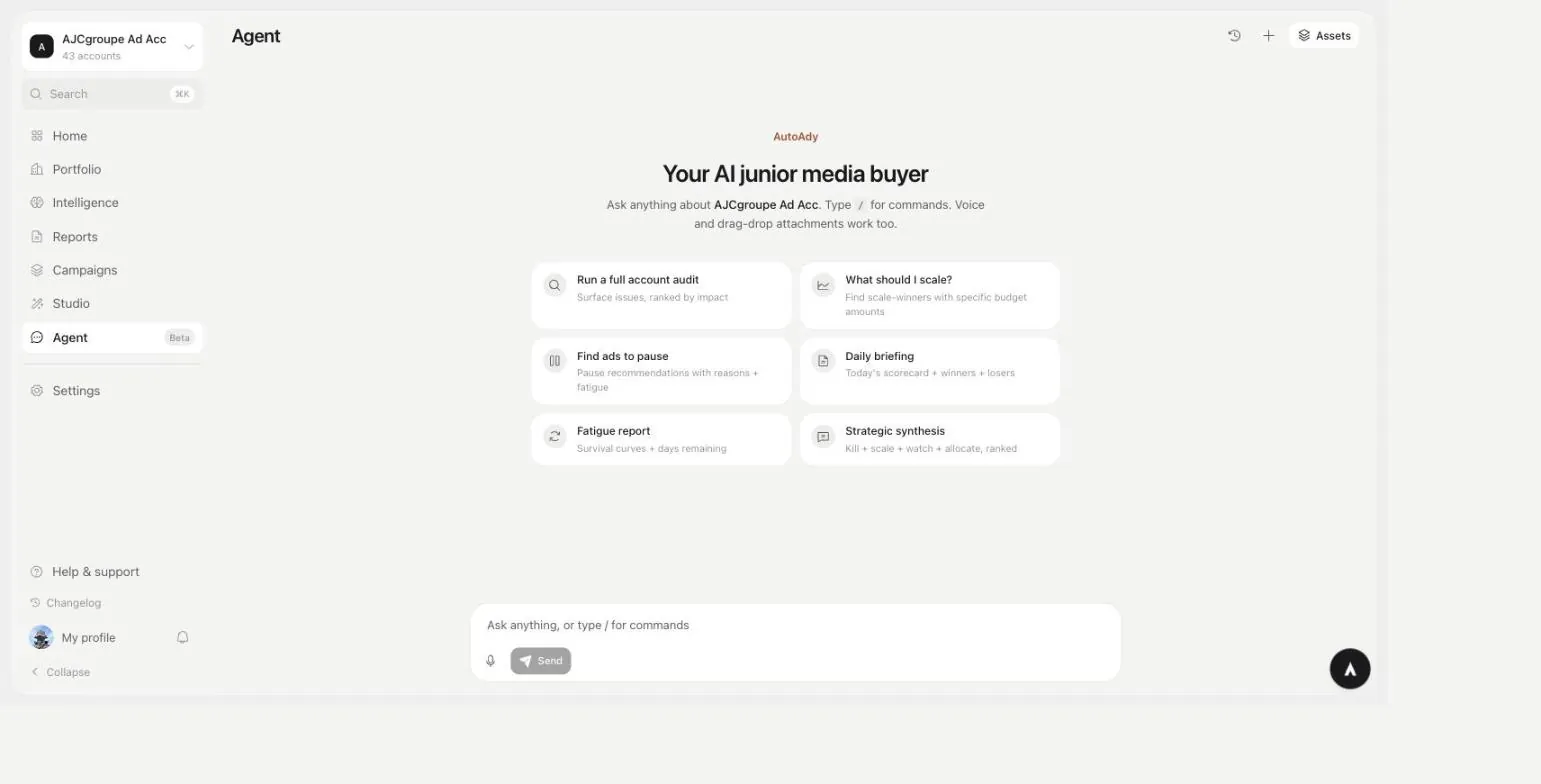 AutoAdy Agent chat screen with starter prompts for running a full account audit, finding what to scale, finding ads to pause, a daily briefing, a fatigue report and a strategic synthesis
